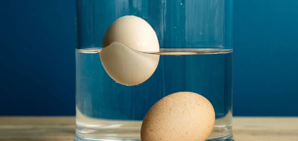 egg good or bad test