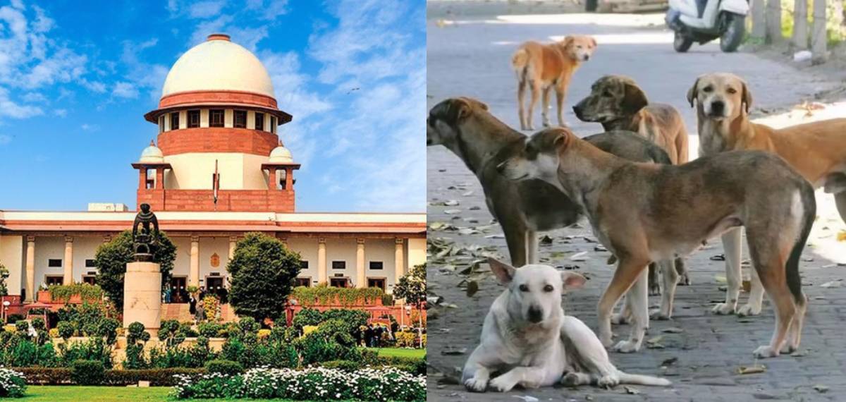 'പൊതു ഇടങ്ങളില് നിന്ന് തെരുവുനായ്ക്കളെ നീക്കണം'; സംസ്ഥാനങ്ങളോട് കടുപ്പിച്ച് സുപ്രീം കോടതി