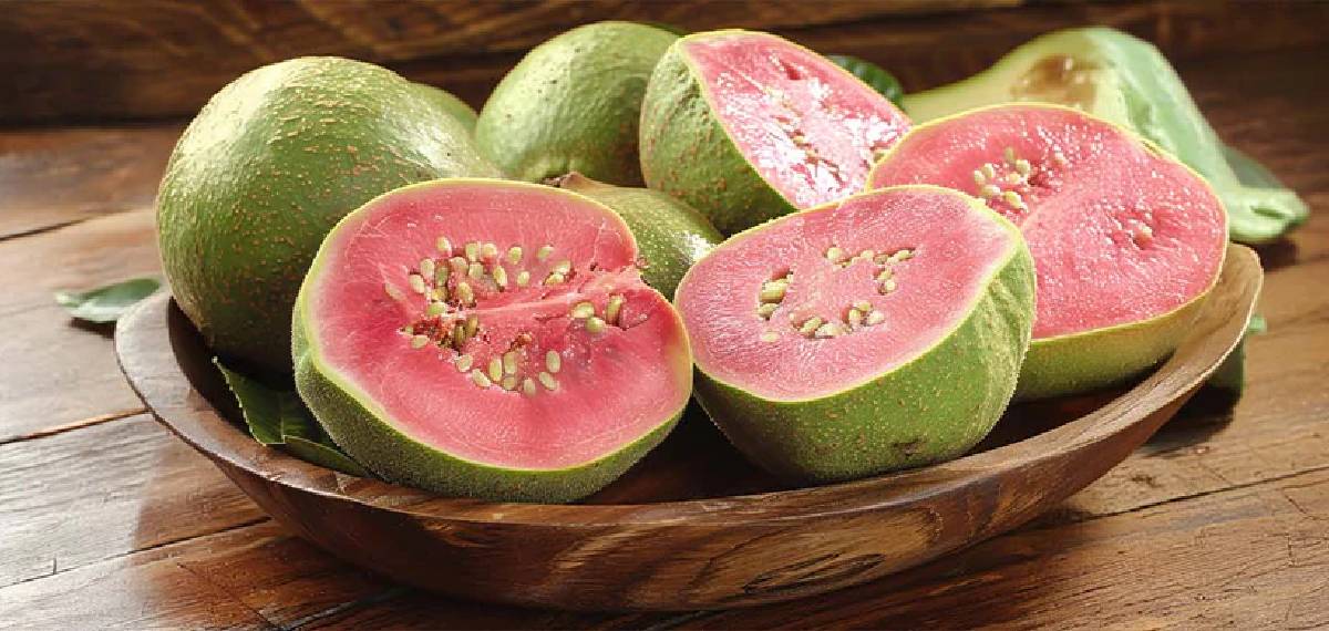 വെറുതെ തള്ളിക്കളയരുതേ; വെറുംവയറ്റില് പേരയ്ക്ക കഴിച്ചാല് ഗുണങ്ങള് ധാരാളമാണ്