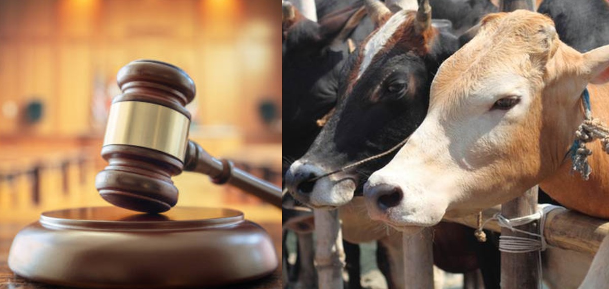 ഗുജറാത്തില്‍ പശുവിനെ കൊന്നതിന് മൂന്നുപേര്‍ക്ക് ജീവപര്യന്തം; രാജ്യചരിത്രത്തിലാദ്യം