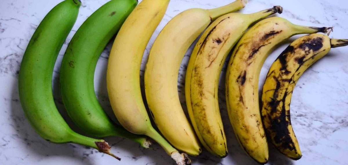 ഏത് ഘട്ടത്തിലാണ് നേന്ത്രപ്പഴം മികച്ചതാകുന്നത്; നിറം പച്ചയായിരിക്കുമ്പോഴോ മഞ്ഞയായിരിക്കുമ്പോഴോ?