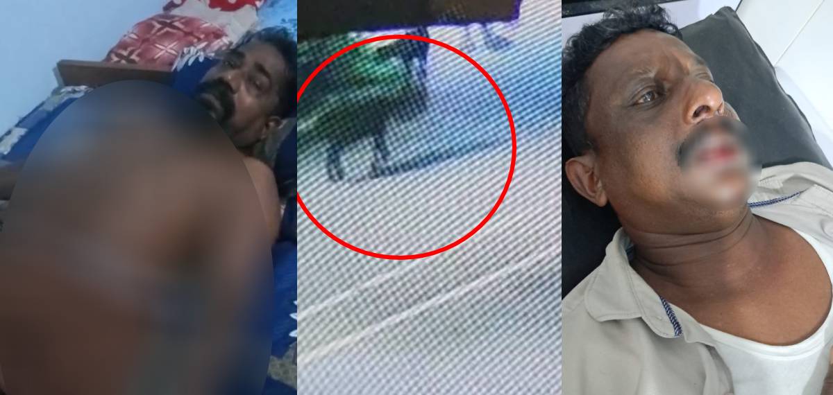 കൊല്ലത്ത് നാടന് പോത്തിന്റെ ആക്രമണത്തില് മൂന്നുപേര്ക്ക് പരിക്ക്