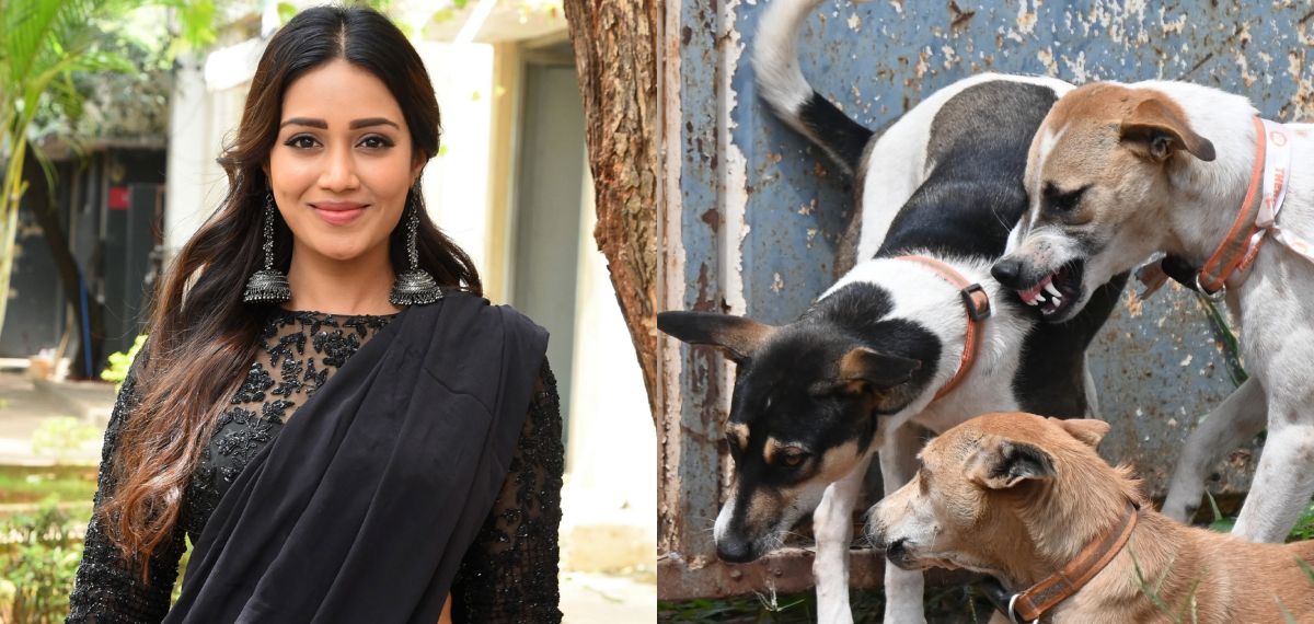 നായ കടിക്കുന്നത് വലിയ കാര്യമാക്കേണ്ടെന്ന് നടി, ആഢംബരക്കാറിൽ നടക്കുന്നവർക്ക് എന്തും പറയാമെന്ന് വിമർശനം