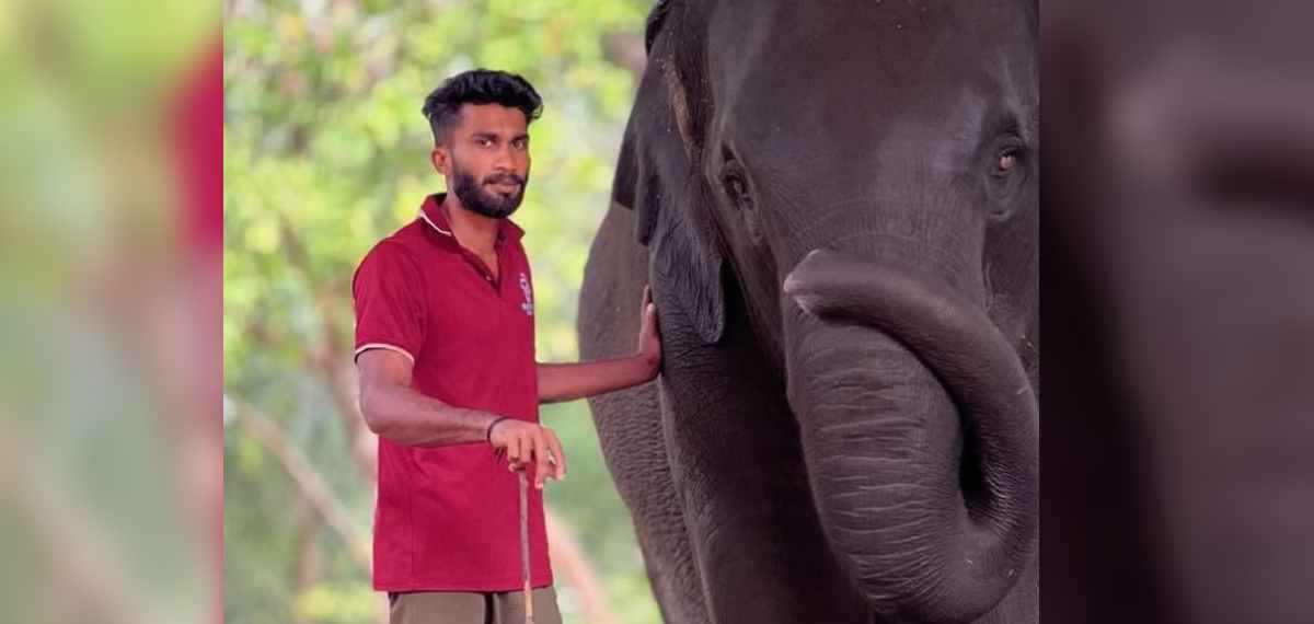 ആനക്കമ്പത്തിൽ വിഷ്ണു തെരഞ്ഞെടുത്ത ജോലി, ഏറെ സ്‌നേഹിച്ച കുട്ടിക്കൊമ്പന്‍ ജീവനെടുത്തു; ബാക്കിയായി ആ സ്വപ്‌നം