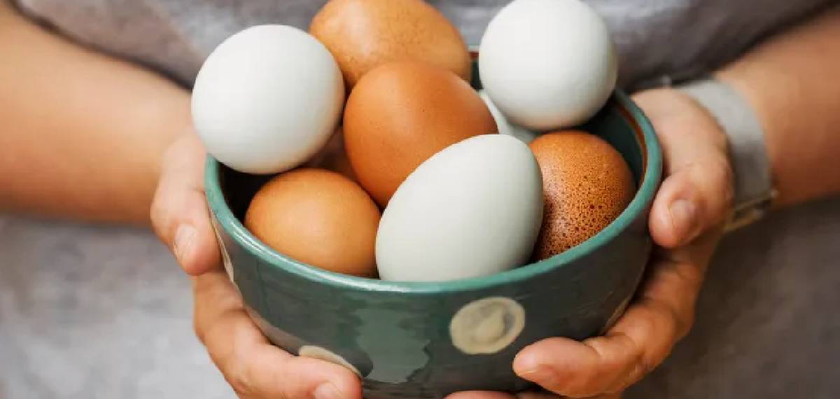 മുട്ട നല്ലതാണോ ചീത്തയാണോ എന്ന് എങ്ങനെ അറിയും; ഇതാ ചില എളുപ്പ വഴികള്‍