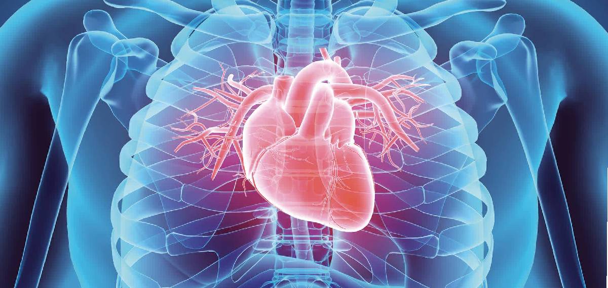 heart disease young people