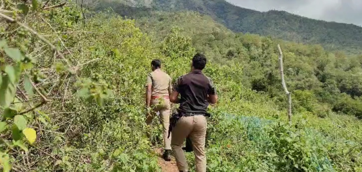 അട്ടപ്പാടിയിൽ ആദിവാസി സ്ത്രീയെ കൊന്ന് കുഴിച്ചിട്ടതായി സംശയം; കൂടെ താമസിച്ചിരുന്നയാൾ പിടിയിൽ