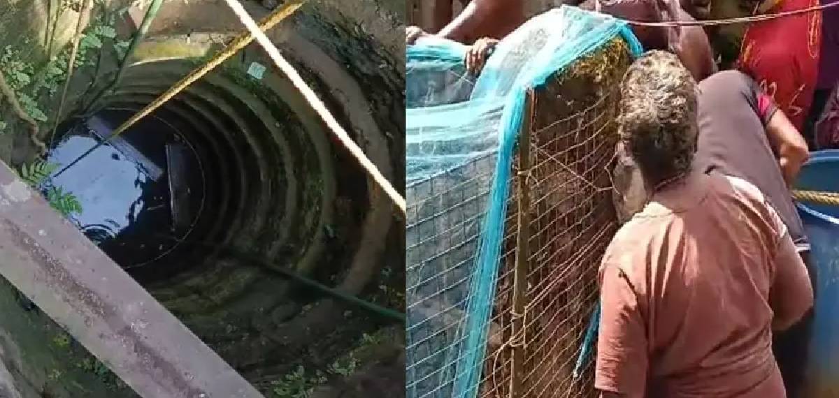 കളിക്കുന്നതിനിടെ അഞ്ച് വയസുകാരൻ കാൽ തെന്നി കിണറ്റിൽ വീണു; കയറിൽ തൂങ്ങിക്കിടന്ന് അത്ഭുത രക്ഷ
