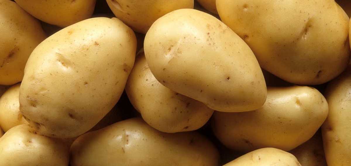  potatoes contaminated with chemicals