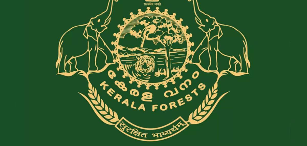 'കാര്യമെന്തെന്ന് പറയാതെ നാലഞ്ച് പേർ വളഞ്ഞിട്ട് തല്ലി'; വനം വകുപ്പ് ഉദ്യോഗസ്ഥർ ക്രൂരമായി മർദ്ദിച്ചെന്ന് പരാതി