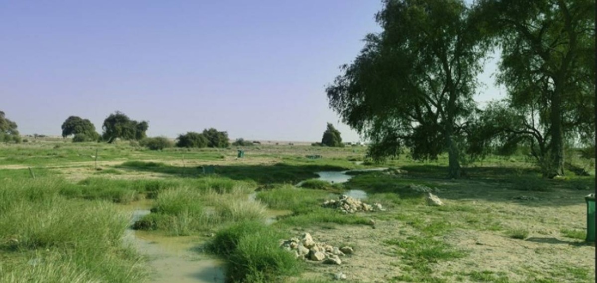 പരിസ്ഥിതി സംരക്ഷണം ലക്ഷ്യം; 70-ലധികം പ്രകൃതിദത്ത താഴ്വരകൾ സംരക്ഷിക്കാൻ നടപടിയുമായി ഖത്തർ