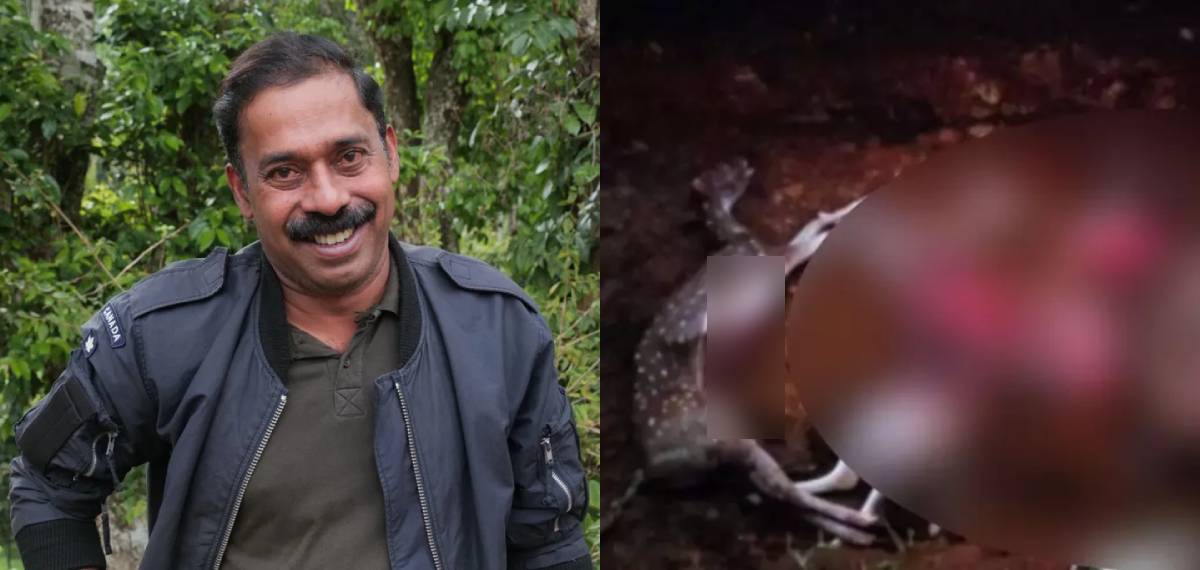 'മരണകാരണം ആധി പിടിച്ച് ഹൃദയം നിലച്ചത്'; പുത്തൂരില് തെരുവുനായ ആക്രമണത്തില് മാനുകള് ചത്തതില് അരുണ് സക്കറിയ