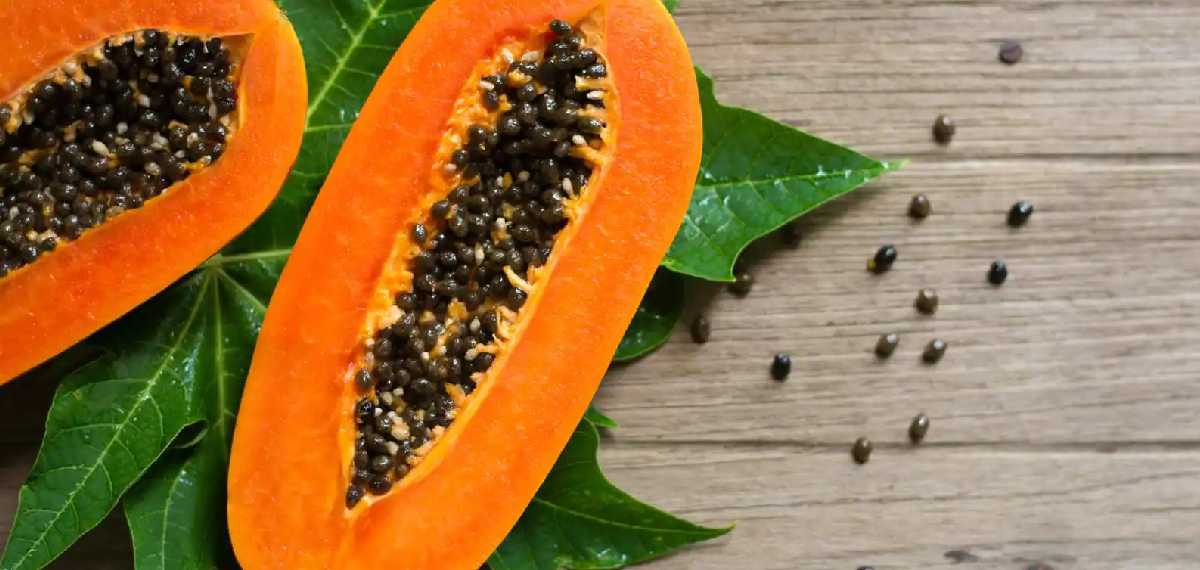 പപ്പായ വിത്ത് കാൻസറിനെ പ്രതിരോധിക്കുമോ?