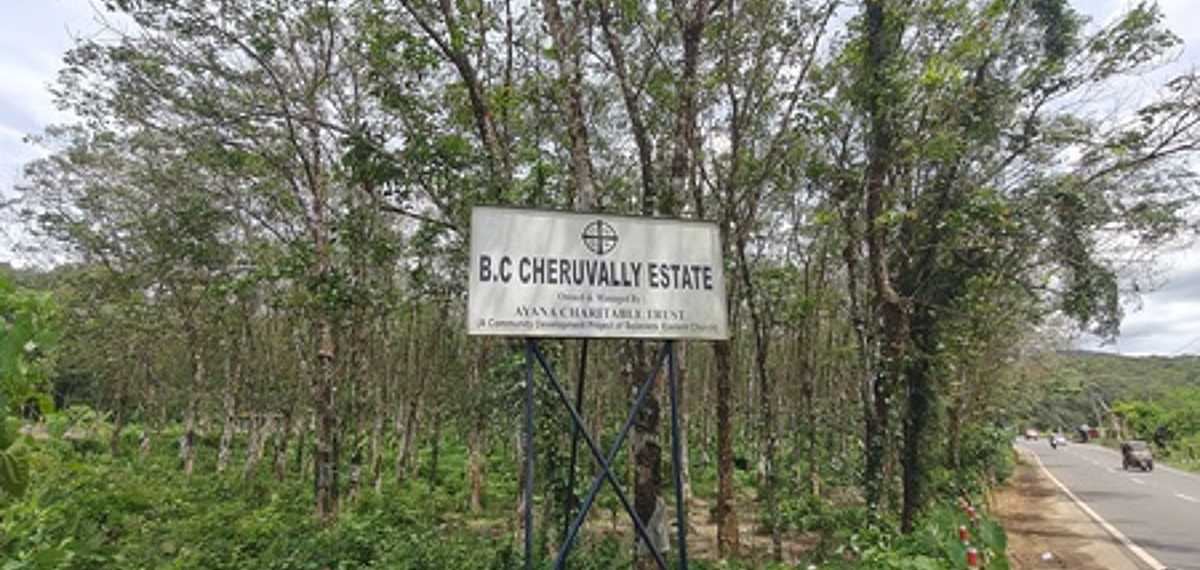 ശബരിമല വിമാനത്താവള പദ്ധതി; ചെറുവള്ളി എസ്റ്റേറ്റ് കേസില്‍ സര്‍ക്കാരിന് തിരിച്ചടി; ഹര്‍ജി തള്ളി പാലാ കോടതി