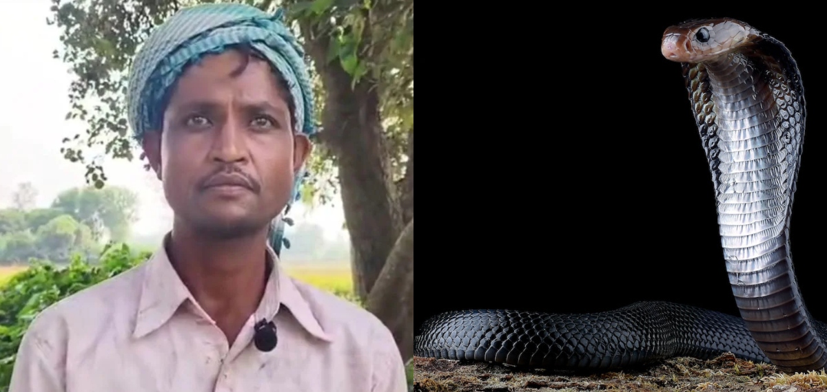 'രാത്രിയില്‍ ഭാര്യ പാമ്പായി മാറുന്നു, ഞങ്ങളെ കൊത്തുന്നു'; യുവാവിൻ്റെ വിചിത്ര പരാതിക്ക് പിന്നാലെ അന്വേഷണം