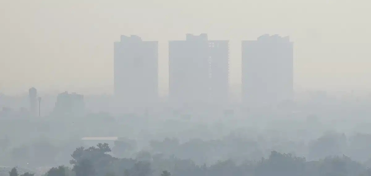 'പുകമഞ്ഞ്' ശ്വാസകോശത്തെയും ഹൃദയത്തെയും മാത്രമല്ല വയറിനെയും കേടാക്കും! ശ്രദ്ധിക്കാം