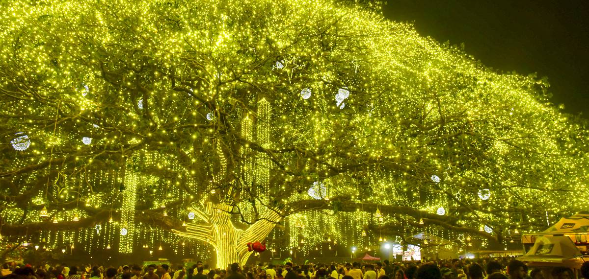 പുതുവർഷാഘോഷം കളറാക്കാം; കൊച്ചിൻ കാർണിവലിന് എത്തുന്നവർ ഇക്കാര്യങ്ങൾ കൂടി ശ്രദ്ധിക്കണം