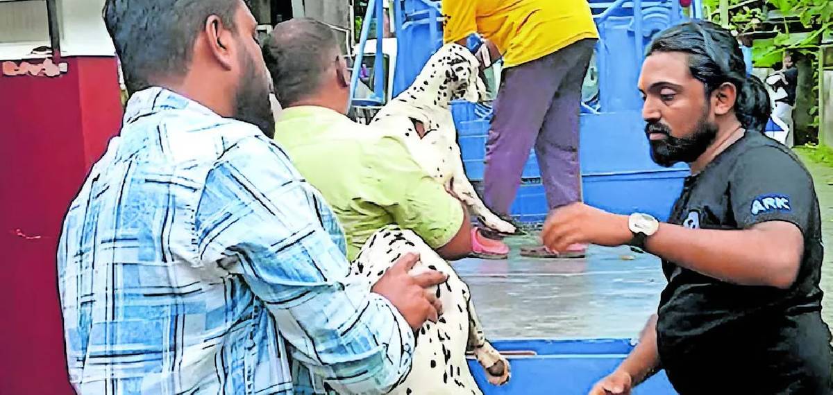 കൊച്ചിയില്‍ മകനെയും 26 വളര്‍ത്തുനായ്ക്കളെയും വാടക വീട്ടിലാക്കി യുവാവ് നാടുവിട്ടു: കുട്ടിയെ രക്ഷപ്പെടുത്തി