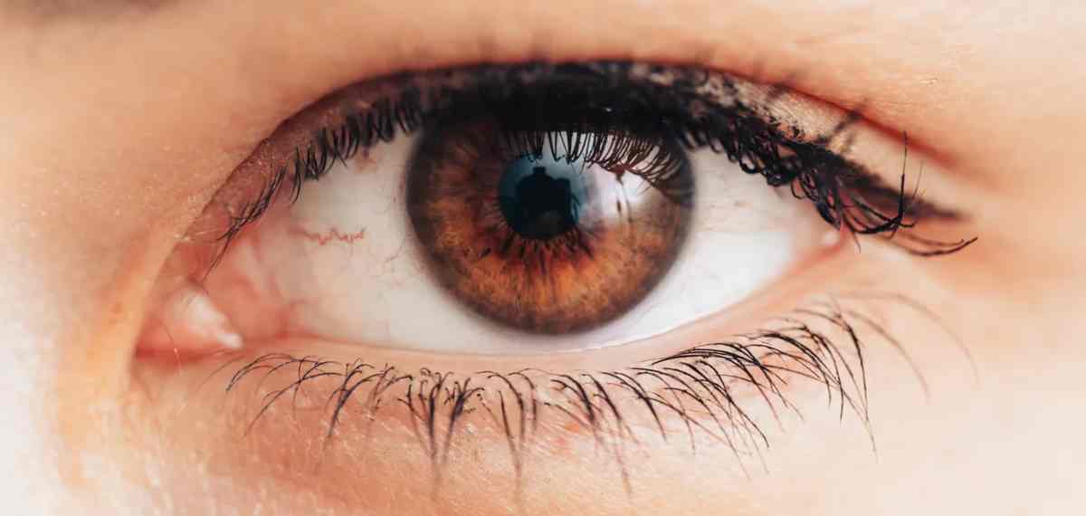 കണ്ണുകൾ ചിമ്മാതെയാകും! GenZകളുടെ ശ്രദ്ധയ്ക്ക്; ഈ ശീലം കണ്ണിനെ ബാധിക്കും പ്രമേഹവും പിടിപെടും!