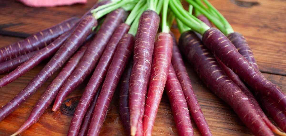 Purple Carrot