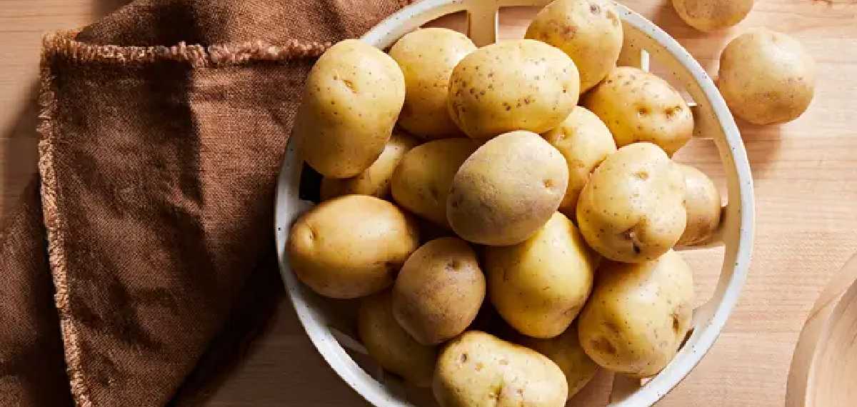  potatoes contaminated with chemicals