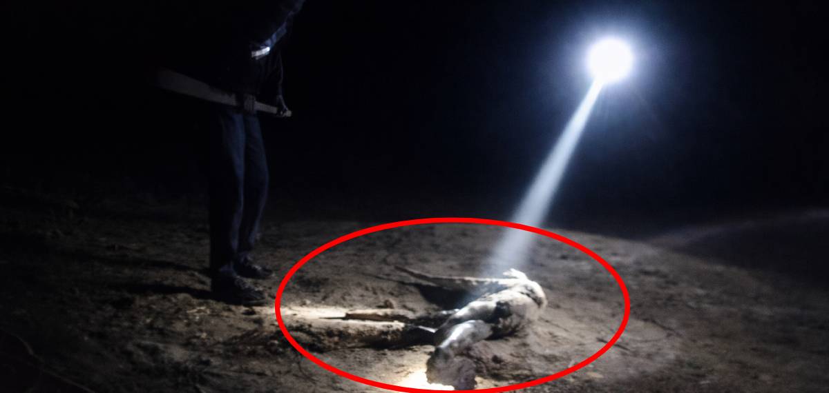 ഗുജറാത്തില്‍ മുതലയെ തല്ലിക്കൊന്ന് കായലിലെറിഞ്ഞ സംഭവം; രണ്ടുപേര്‍ അറസ്റ്റില്‍