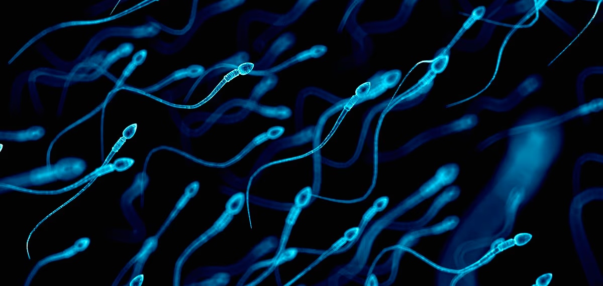 male germline mutation