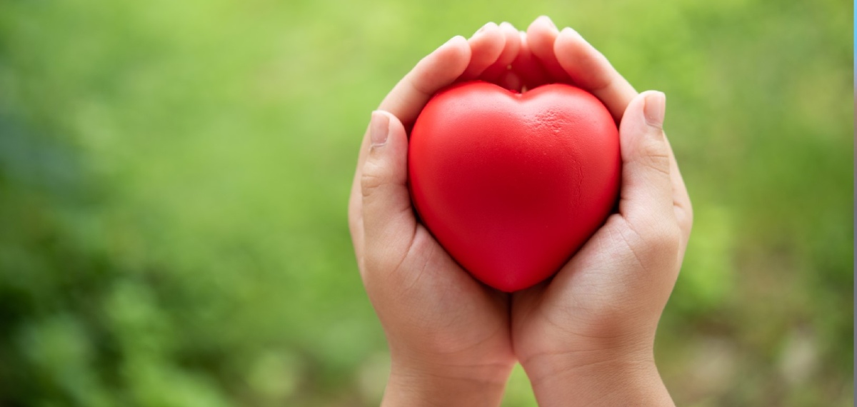 Heart Health and Sugar intake