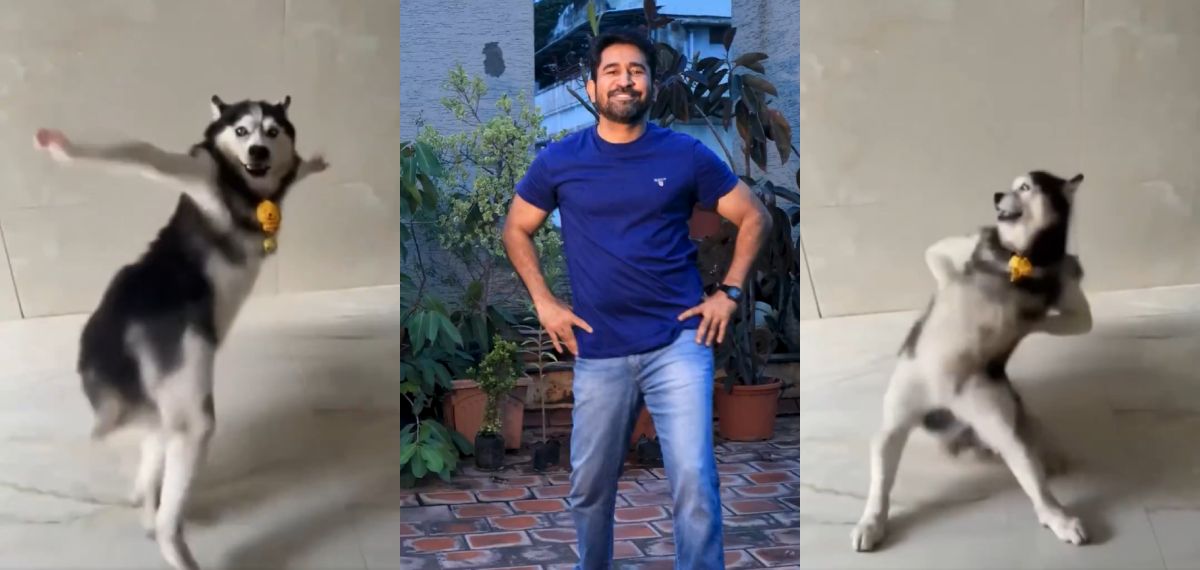 എങ്ക പാത്താലും ഹസ്കി, ഒടുവിൽ പടച്ചുവിട്ടവൻ തന്നെ എത്തി; ട്രെൻഡിങ് വീഡിയോയ്ക്ക് ചുവടുവെച്ച് വിജയ് ആന്റണി