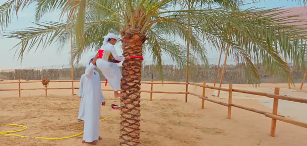 പഴയ തലമുറയിൽ നിന്ന് അറിവ് നേടുന്ന പുതിയ തലമുറ; ഗംറാൻ ക്യാമ്പ് സന്ദർശിച്ച് ദുബായ് കിരീടാവകാശി