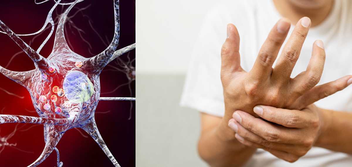 പല്ല് തേയ്ക്കാന്‍ മടിയുണ്ടോ? ബാക്ടീരിയകള്‍ തലച്ചോറിലെത്തിയാല്‍ പണി പാളും