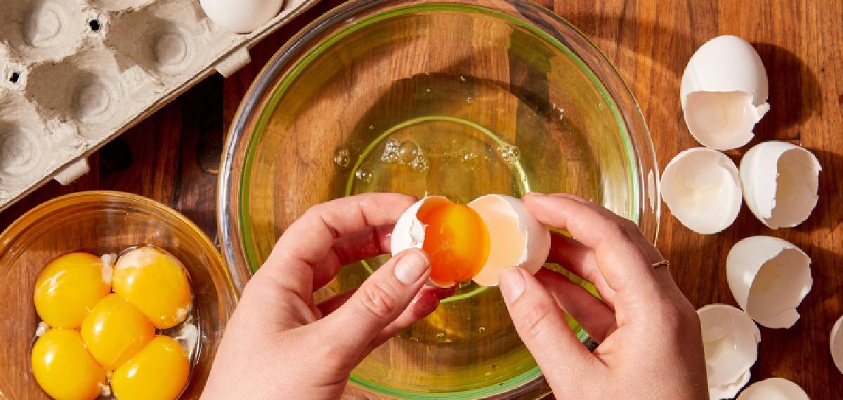 egg good or bad test