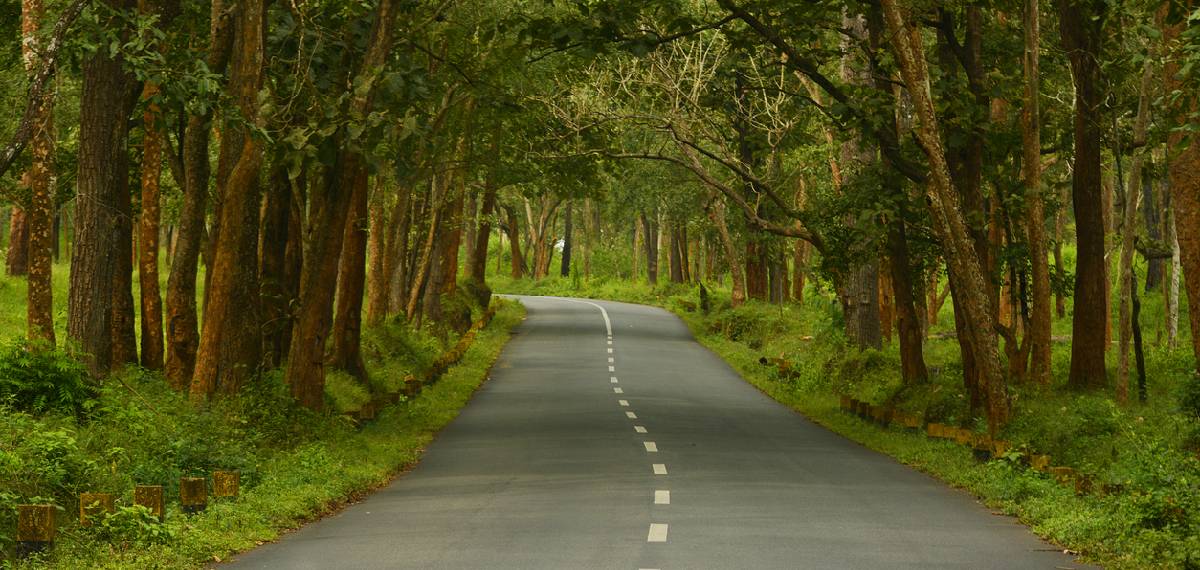 ഗുണ്ടൽപേട്ടിന് സമീപം കോഴിക്കോട് സ്വദേശിയെ കാർ തടഞ്ഞ് കവർച്ചചെയ്ത് സംഘം; ഒന്നരക്കോടിയുടെ സ്വർണം തട്ടിയെടുത്തു