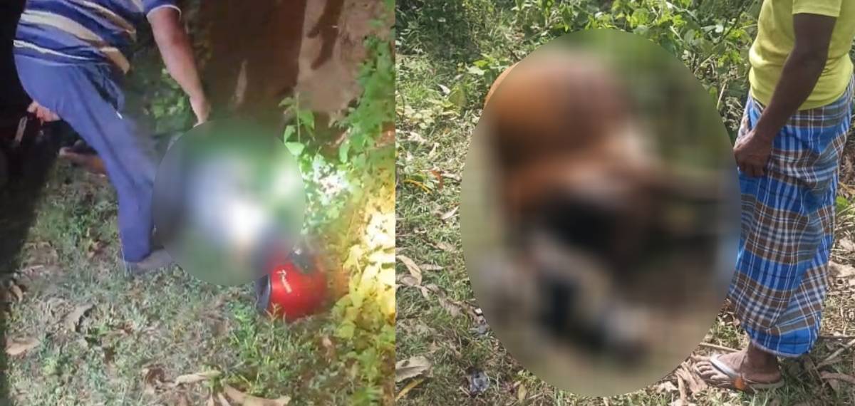 അട്ടപ്പാടിയിൽ കാട്ടാന ആക്രമണത്തിൽ പരിക്കേറ്റ ബെെക്ക് യാത്രികൻ മരിച്ചു