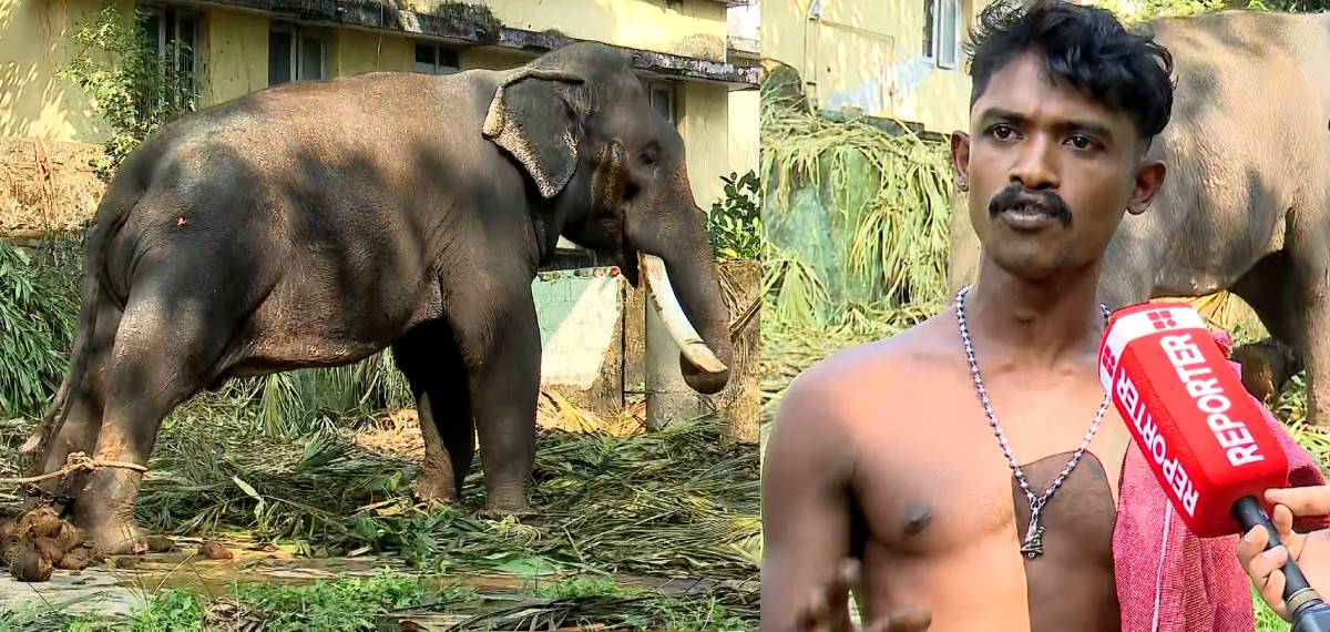 മദപ്പാടില്‍ നില്‍ക്കുന്ന ആനയെ ചിലപ്പോള്‍ തല്ലേണ്ടിവരും, പരാതി നല്‍കിയത് സാമൂഹ്യവിരുദ്ധര്‍; പാപ്പാന്‍ വിഷ്ണു